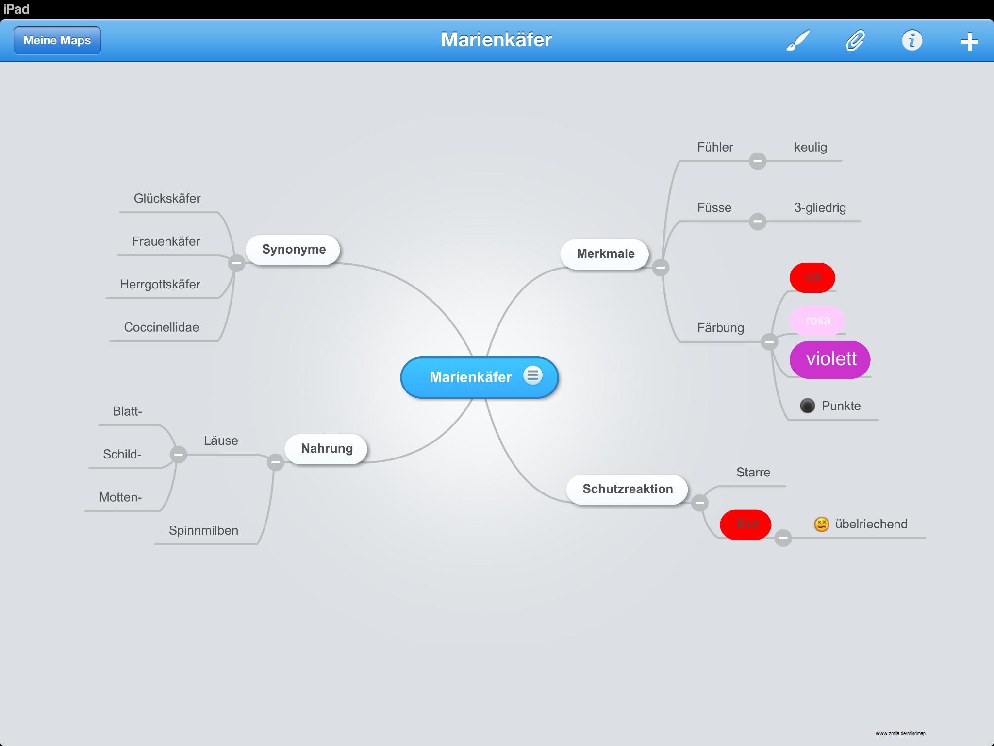Mindmeister - Marienkäfer Mindmeister - Marienkäfer